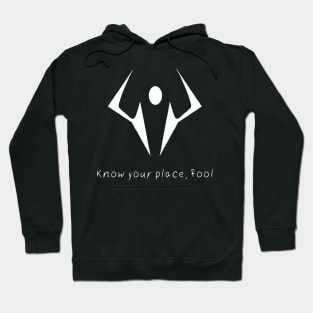 Know your place Hoodie